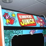 Donkey Kong Junior - Image 8